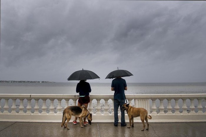 Hurricane Irma hits the Caribbean and Florida
A couple walk their dogs on Bayshore Boulevard in Tampa, Florida, on September 10, 2017, where Tampa residents are fleeing the evacuation zones ahead of Hurricane Irmas landfall.
Hurricane Irma regained strength to a Category 4 storm early Sunday as it began pummeling Florida and threatening landfall within hours. / AFP PHOTO / JIM WATSON
Editoria: WEA
Local: Tampa
Indexador: JIM WATSON
Secao: disaster (general)
Fonte: AFP
Fotógrafo: STF Hurricane Irma hits the Caribbean and Florida
A couple walk their dogs on Bayshore Boulevard in Tampa, Florida, on September 10, 2017, where Tampa residents are fleeing the evacuation zones ahead of Hurricane Irmas landfall.
Hurricane Irma regained strength to a Category 4 storm early Sunday as it began pummeling Florida and threatening landfall within hours. / AFP PHOTO / JIM WATSON
Editoria: WEA
Local: Tampa
Indexador: JIM WATSON
Secao: disaster (general)
Fonte: AFP
Fotógrafo: STF