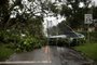 POMPANO BEACH, FL - SEPTEMBER 10: Downed trees and a windblown trampoline block a street as Hurricane Irma hits the southern part of the state September 10, 2017 in Pompano Beach, Florida. The Category 4 hurricane made landfall in the United States in the Florida Keys at 9:10 a.m. after raking across the north coast of Cuba.   Chip Somodevilla/Getty Images/AFP