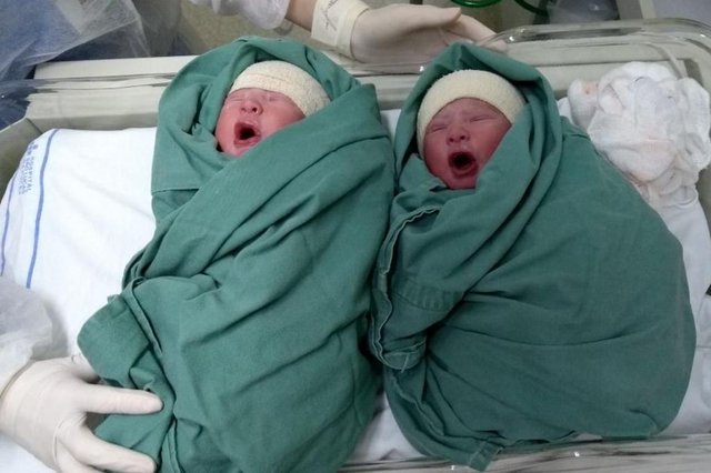 Nascidos com escolta: mãe de gêmeos de Ivoti teve ajuda da polícia para chegar ao hospital em Porto Alegre. Na Foto, Matheus e Davi, os gêmeos. Nascidos com escolta: mãe de gêmeos de Ivoti teve ajuda da polícia para chegar ao hospital em Porto Alegre. Na Foto, Matheus e Davi, os gêmeos.