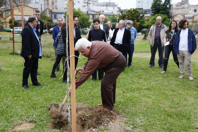 PORTO ALEGRE, RS, BRASIL 08/03/2017 - Ação socioambiental, plantação de árvores - Aniversário do Centro Israelita. (FOTO: ROBINSON ESTRÁSULAS/AGÊNCIA RBS) PORTO ALEGRE, RS, BRASIL 08/03/2017 - Ação socioambiental, plantação de árvores - Aniversário do Centro Israelita. (FOTO: ROBINSON ESTRÁSULAS/AGÊNCIA RBS)