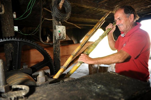 JOINVILLE, SC, BRASIL (11-09-2017) - Flavio Lucio de Oliveira Cercal produtor de cachaça e derivados da cana de açucar em Joinville. (Foto: Maykon Lammerhirt, A Notícia) JOINVILLE, SC, BRASIL (11-09-2017) - Flavio Lucio de Oliveira Cercal produtor de cachaça e derivados da cana de açucar em Joinville. (Foto: Maykon Lammerhirt, A Notícia)