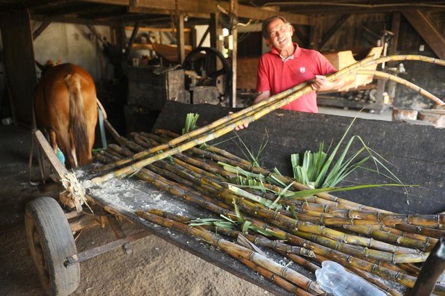 JOINVILLE, SC, BRASIL (11-09-2017) - Flavio Lucio de Oliveira Cercal produtor de cachaça e derivados da cana de açucar em Joinville. (Foto: Maykon Lammerhirt, A Notícia) JOINVILLE, SC, BRASIL (11-09-2017) - Flavio Lucio de Oliveira Cercal produtor de cachaça e derivados da cana de açucar em Joinville. (Foto: Maykon Lammerhirt, A Notícia)