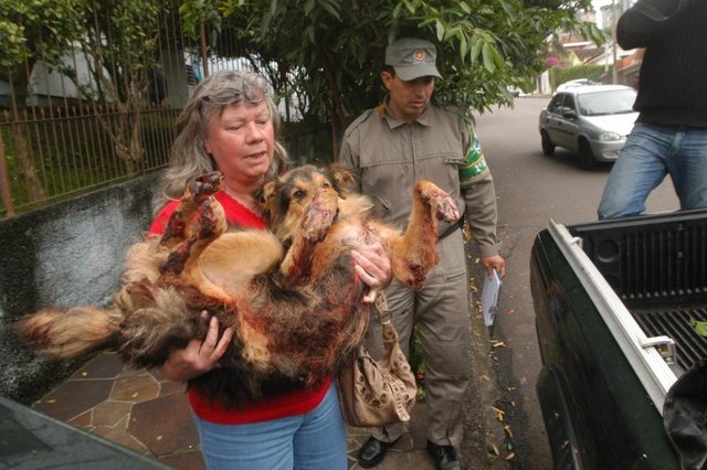 *** Charles- cachorro arrastado 2 ***Cachorro é amarrado e arrastado por carro conduzido por Alceu Pozzathi (78) na rua Rigoberto Duarte bairro Nonoai *** Charles- cachorro arrastado 2 ***Cachorro é amarrado e arrastado por carro conduzido por Alceu Pozzathi (78) na rua Rigoberto Duarte bairro Nonoai