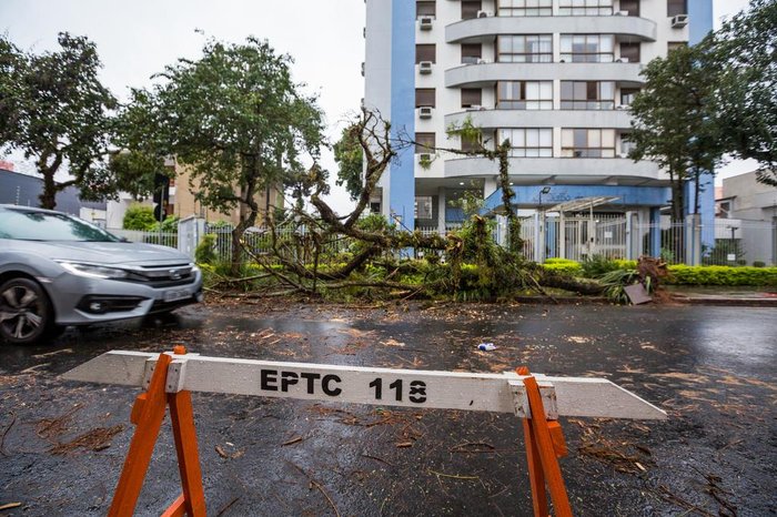 PORTO ALEGRE, RS, BRASIL, 16/09/2017 : Chuva causa transtornos em Porto Alegre na tarde de sábado. Árvore caiu na rua gonçaves dias. (Omar Freitas/Agência RBS)
PORTO ALEGRE, RS, BRASIL, 16/09/2017 : Chuva causa transtornos em Porto Alegre na tarde de sábado. Árvore caiu na rua gonçaves dias. (Omar Freitas/Agência RBS)