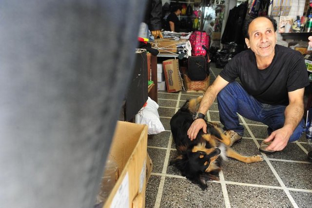  SANTA MARIA, RS, BRASIL. 08/09/2017.Os vira-latas Feijão e Amendoim tornaram-se cães comunitário e são o xodó do Parque Itaimbé. NA FOTO: Feijão e Hussan Elayyan, 53 anos - ComercianteFOTO: GABRIEL HAESBAERT / NEWCO DSM