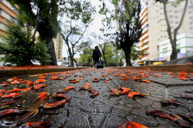 SANTA MARIA, RS, BRASIL, 21-09-2015.Primavera chegará com chuva.FOTO: GERMANO RORATO/AGÊNCIA RBS, GERAL SANTA MARIA, RS, BRASIL, 21-09-2015.Primavera chegará com chuva.FOTO: GERMANO RORATO/AGÊNCIA RBS, GERAL