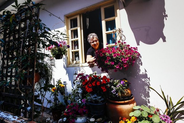 FLORIANOPOLIS, SC, BRASIL, 20.09.2017: A dona Enara, de 65 anos, usa do jardim e das flores como fonte de vida e energia, além de filosofar sobre a vida através de comparativos com o jardim que cuida em casa. (Foto: Diorgenes Pandini/Diário Catarinense) FLORIANOPOLIS, SC, BRASIL, 20.09.2017: A dona Enara, de 65 anos, usa do jardim e das flores como fonte de vida e energia, além de filosofar sobre a vida através de comparativos com o jardim que cuida em casa. (Foto: Diorgenes Pandini/Diário Catarinense)