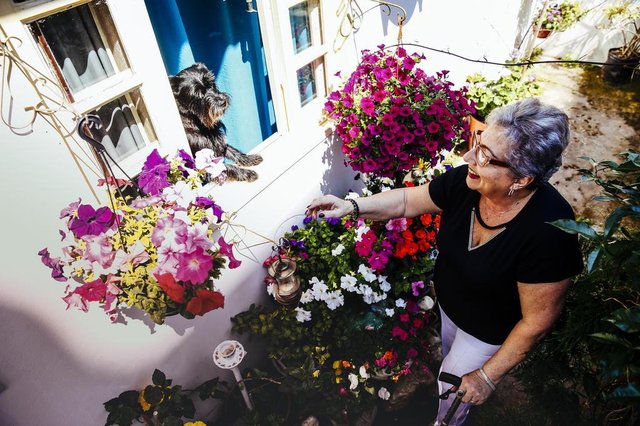  FLORIANOPOLIS, SC, BRASIL, 20.09.2017: A dona Enara, de 65 anos, usa do jardim e das flores como fonte de vida e energia, além de filosofar sobre a vida através de comparativos com o jardim que cuida em casa. (Foto: Diorgenes Pandini/Diário Catarinense)