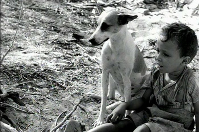 filme Vidas Secas, de Nelson Pereira dos Santos filme Vidas Secas, de Nelson Pereira dos Santos