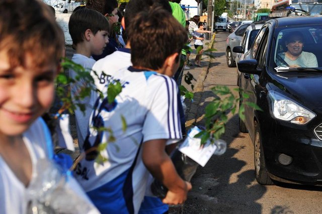  Santa Maria 26/09/2017 - RS - BrasilA&ccedil;&atilde;o do col&eacute;gio C. de Maria entrega mudas de &aacute;rvores aos motoristas