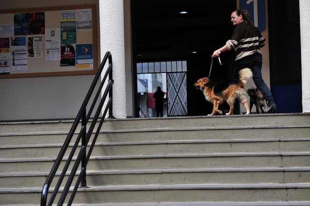  Santa Maria - RS - Brasil 30/09/2017 Bênção aos animais, no pátio do Conjunto I da instituição