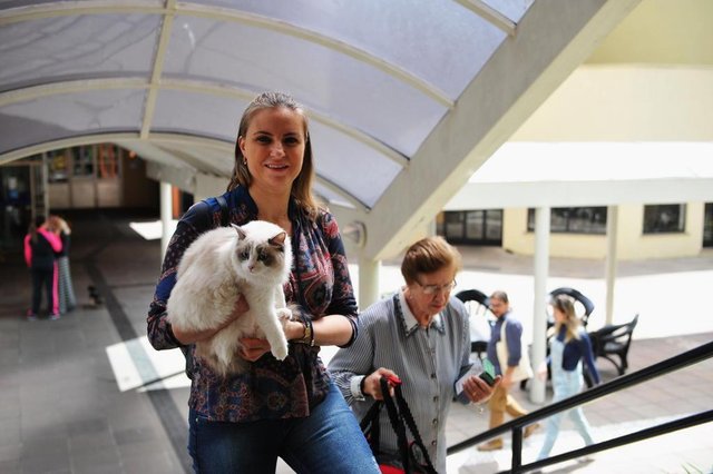  Santa Maria - RS - Brasil 30/09/2017 Bênção aos animais, no pátio do Conjunto I da instituição