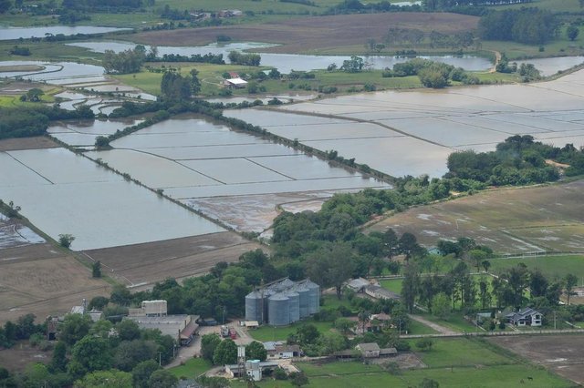 SANTA MARIA, RS, BRASIL, 14/10/2015 - Fotos aéreas de Santa Maria atingida pela chuva. Lavoura de arroz atingida pelas chuvas. (FOTO JEAN PIMENTEL / AGÊNCIA RBS) SANTA MARIA, RS, BRASIL, 14/10/2015 - Fotos aéreas de Santa Maria atingida pela chuva. Lavoura de arroz atingida pelas chuvas. (FOTO JEAN PIMENTEL / AGÊNCIA RBS)