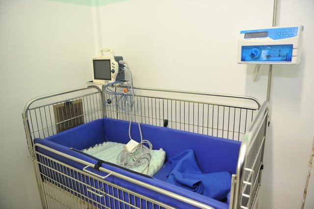 Equipamentos prontos para receber os primeiros pacientes da UTI veterinária da região Equipamentos prontos para receber os primeiros pacientes da UTI veterinária da região