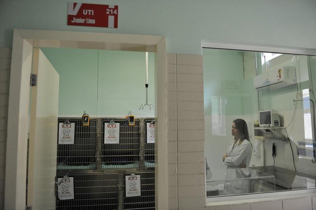 Equipamentos prontos para receber os primeiros pacientes da UTI veterinária da região Equipamentos prontos para receber os primeiros pacientes da UTI veterinária da região