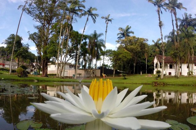 JOINVILLE,SC,BRASIL,26-01-2017.Jardim do MAJ,Museu de Arte de Joinville.(Foto:Salmo Duarte/Agência RBS,Geral) JOINVILLE,SC,BRASIL,26-01-2017.Jardim do MAJ,Museu de Arte de Joinville.(Foto:Salmo Duarte/Agência RBS,Geral)