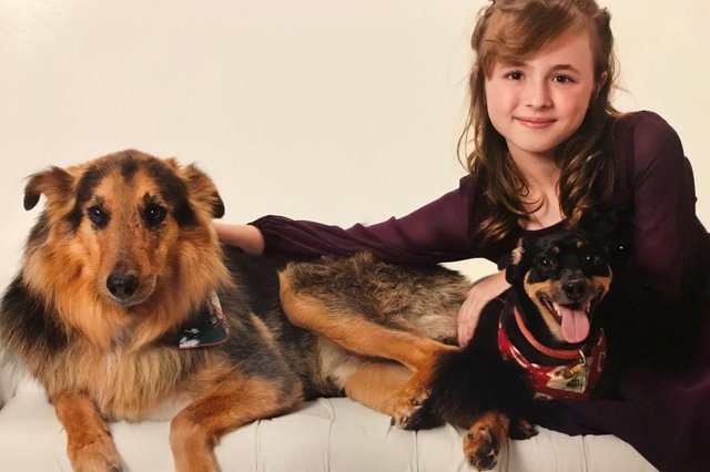 Nove anos ap&oacute;s ser arrastado em um fusca, Mimoso encontrou uma nova fam&iacute;lia