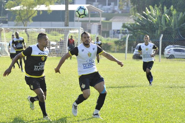 treino do Brusque treino do Brusque