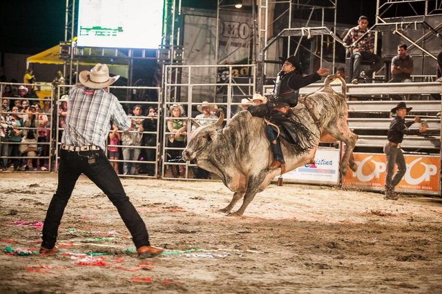 Foto divulga&ccedil;&atilde;o do rodeio da Fenatrigo 2017, de C&eacute;sar Paran&aacute;