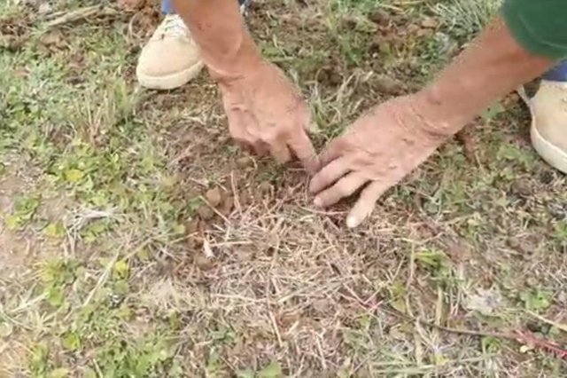 Mina terrestre contra abigeato, criada pelo ga&uacute;cho de Bag&eacute; Renato Azevedo