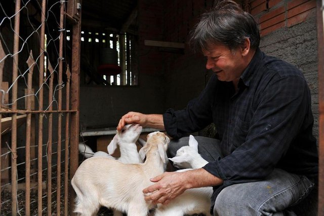  Santa Maria 10/08/2017Cabanha São Bernardo - criação de caprinos para corte e reprodução