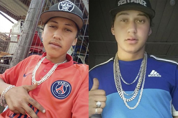 Reprodução Reprodução