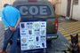 BM prende homem com 20kg de maconha escondida em chácara, em Caxias do Sul