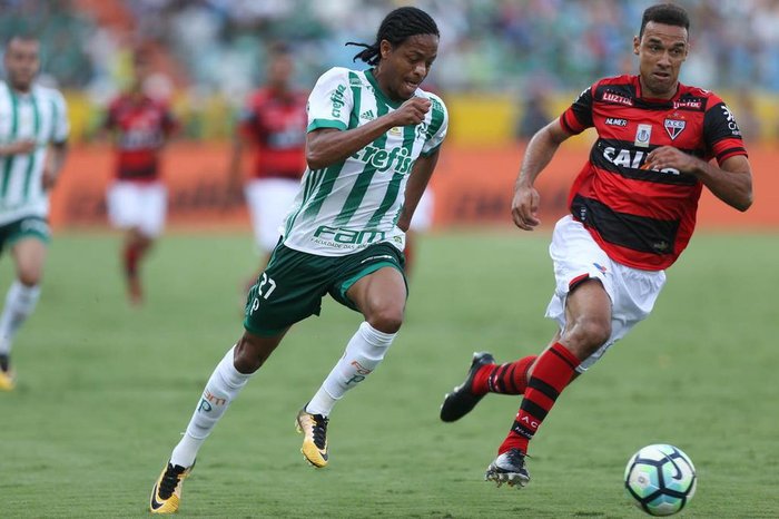 Palmeiras / Divulgação Palmeiras / Divulgação