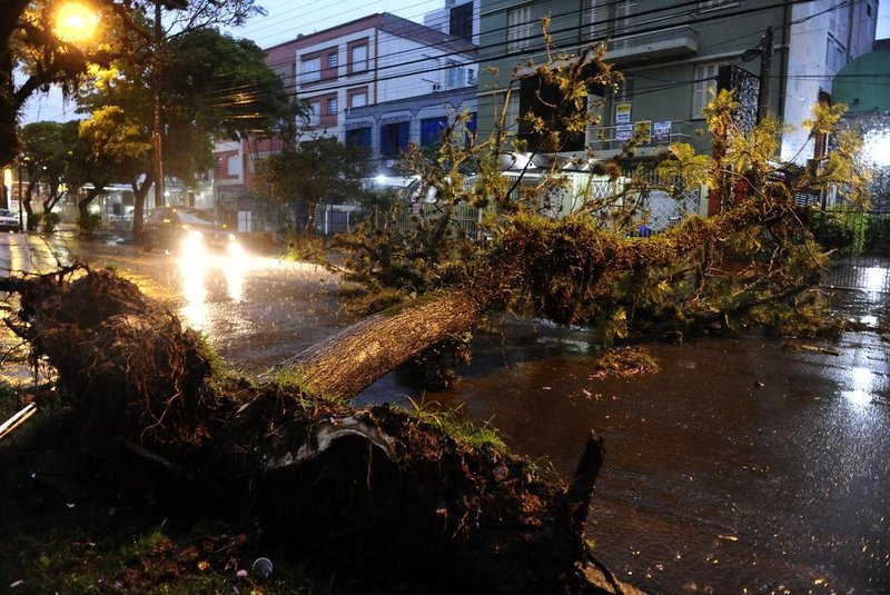 Porto Alegre tem queda de árvore e semáforos fora de operação devido à chuva nesta quinta-feira