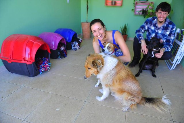  SANTA MARIA, RS, BRASIL. 03/10/2017.Fotos dos cachorros da Nina Nunes (99998-9647). PET sobre alimenta&ccedil;&atilde;o canina.Na foto:  Nina Nunes e Gabriel OptizFOTO: GABRIEL HAESBAERT / NEWCO DSM
