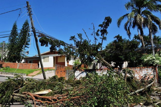  Santa Maria - RS - BRASIL 20/10/2017RUAS DE SANTA MARIA SEGUEM OBSTRU&Iacute;DAS E MORADORES SEM LUZ EM ALGUNS BAIRROS DA CIDADE   1- IVONE PAZINI &iquest; 75 ANOS DONA DE CASA  E MOACIR PAZINI 74 ANOS &iquest; APOSENTADO(travessa Ernesto Becker)  2-BENTA NEIVA ROCHA NEVES &iquest; 76 ANOS- DONA DE CASA  e DIULIA XHABIARAS NEVES &iquest; 10 ANOSPinheiro ca&iacute;do na rua Coronel Ernesto Becker