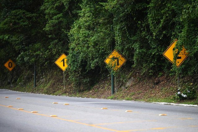 JOINVILLE, SC, BRASIL (18-10-2017) - Sinalização coberta por vegetação no km 16 da SC-418 na estrada da serra Dona Francisca em Joinville. (Foto: Maykon Lammerhirt, A Notícia) JOINVILLE, SC, BRASIL (18-10-2017) - Sinalização coberta por vegetação no km 16 da SC-418 na estrada da serra Dona Francisca em Joinville. (Foto: Maykon Lammerhirt, A Notícia)