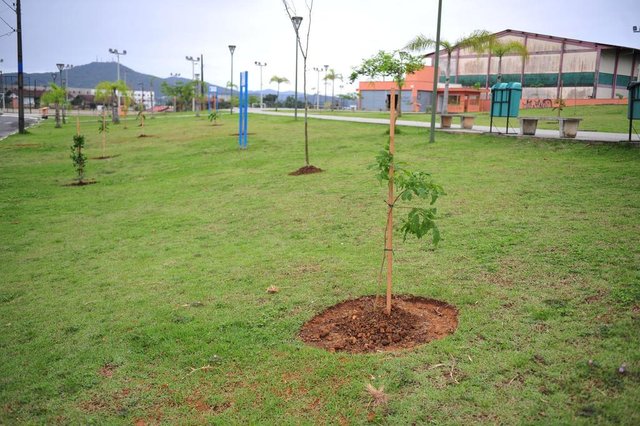 parque são francisco parque são francisco