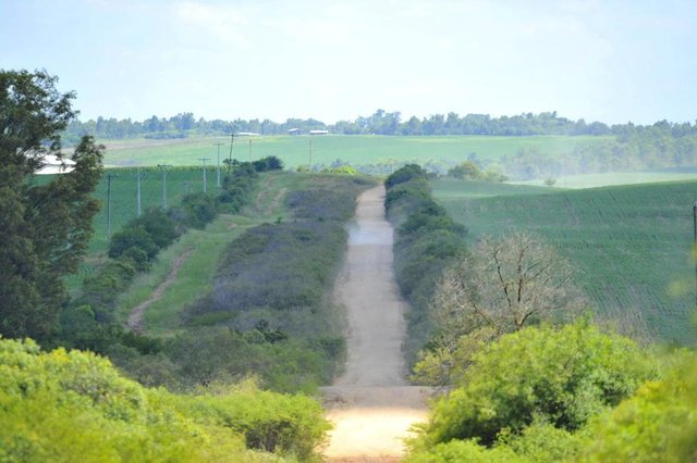  S&Atilde;O GABRIEL, RS, BRASIL, 12/01/2016- 52 benefici&aacute;rios da reforma agr&aacute;ria ser&atilde;o investigados na regi&atilde;o central. Os casos foram apontados como irregulares pela Controladoria-Geral da Uni&atilde;o e ter&atilde;o os CPFs bloqueados pelo Incra. A reportagem foi a S&atilde;o Gabriel, Tupanciret&atilde; e Santa Maria, em busca de casos de supostos servidores p&uacute;blicos e de empres&aacute;rios que teriam recebido lotes indevidamente. (FOTO GERMANO RORATO / AGENCIA RBS)