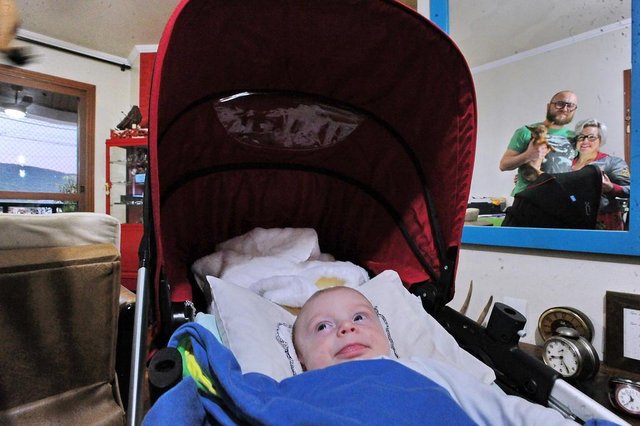  Santa Maria, RS, Brasil, 18/10/2017.Relação de bebês com animais de estimação.