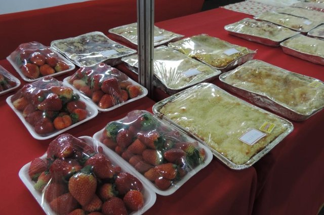 20&ordf; Festa do Moranguinho e da Cuca em Agudo