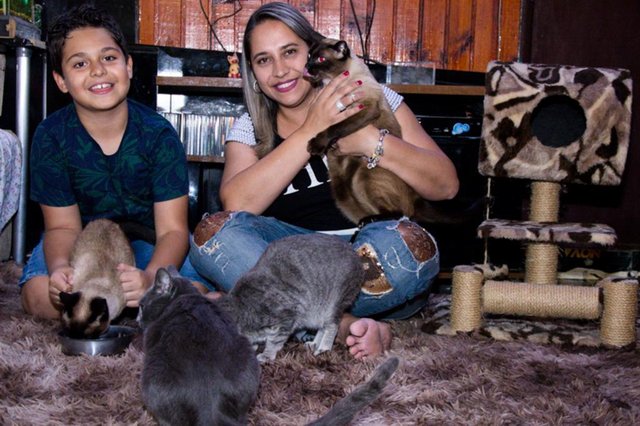 Fiona (no colo de Adriana) é desconfiada, mas está sempre â volta da tutora. Kiko, com Isaque, é o arteiro da turma. Tasha,perto de Adriana,  é arisca, não gosta de colo.Já Luna, é a mais apegada. Segue a tutora o tempo todo.