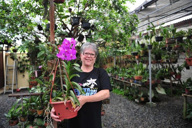 JOINVILLE,SC,BRASIL,10-11-2017.Festa das Flores.Marlene Avancini.(Foto:Salmo Duarte/A Notícia) JOINVILLE,SC,BRASIL,10-11-2017.Festa das Flores.Marlene Avancini.(Foto:Salmo Duarte/A Notícia)