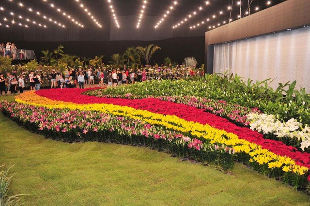 JOINVILLE,SC,BRASIL,15-11-2017.79ª Festa das Flores de Joinville.(Foto:Salmo Duarte/A Notícia) JOINVILLE,SC,BRASIL,15-11-2017.79ª Festa das Flores de Joinville.(Foto:Salmo Duarte/A Notícia)