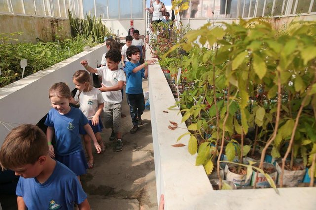 SÃO JOSÉ, SC, BRASIL, 16/11/2017: Alunos da Creche Santa Inês vão ao Jardim Botânico de São José para conhecer a trilha didática com a história do Brasil por meio de um caminho com plantas. Na foto: (Foto: CRISTIANO ESTRELA / DIÁRIO CATARINENSE) SÃO JOSÉ, SC, BRASIL, 16/11/2017: Alunos da Creche Santa Inês vão ao Jardim Botânico de São José para conhecer a trilha didática com a história do Brasil por meio de um caminho com plantas. Na foto: (Foto: CRISTIANO ESTRELA / DIÁRIO CATARINENSE)