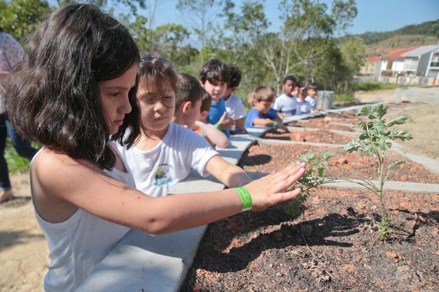 SÃO JOSÉ, SC, BRASIL, 16/11/2017: Alunos da Creche Santa Inês vão ao Jardim Botânico de São José para conhecer a trilha didática com a história do Brasil por meio de um caminho com plantas. Na foto: Eloisa dos Santos (E).(Foto: CRISTIANO ESTRELA / DIÁRIO CATARINENSE) SÃO JOSÉ, SC, BRASIL, 16/11/2017: Alunos da Creche Santa Inês vão ao Jardim Botânico de São José para conhecer a trilha didática com a história do Brasil por meio de um caminho com plantas. Na foto: Eloisa dos Santos (E).(Foto: CRISTIANO ESTRELA / DIÁRIO CATARINENSE)