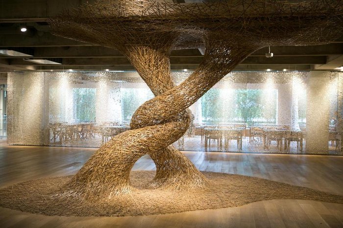 Kenji Nakamura / Especial Kenji Nakamura / Especial