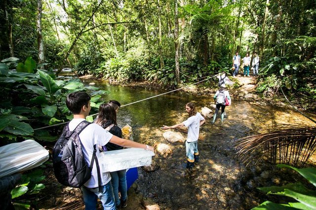 Parque das Nascentes, Blumenau, Instituto Parque das Nascentes (Ipan), visitantes, educação ambiental Parque das Nascentes, Blumenau, Instituto Parque das Nascentes (Ipan), visitantes, educação ambiental