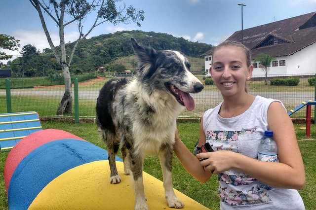 Parque para cachorros é inaugurado em Joinville. Camyla Capelari com a cachorrinha Iquique Parque para cachorros é inaugurado em Joinville. Camyla Capelari com a cachorrinha Iquique