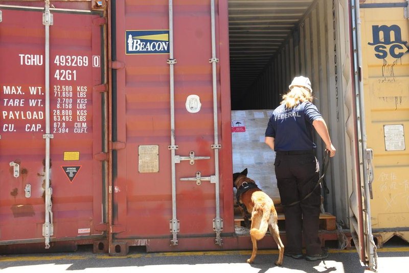  CAXIAS DO SUL, RS, BRASIL (13/12/2017). A servidora federal Samantha Leite e a cadela Uva verificam a existência de drogas em containers no Porto Seco de Caxias do Sul. (Roni Rigon/Pioneiro).