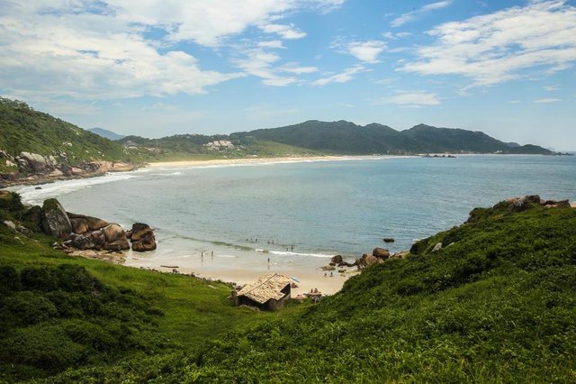 FLORIANÓPOLIS, SC, BRASIL - 09/02/2016DCpelasPraias visitou a trilha da Praia do GravatáIndexador: Marco Favero FLORIANÓPOLIS, SC, BRASIL - 09/02/2016DCpelasPraias visitou a trilha da Praia do GravatáIndexador: Marco Favero