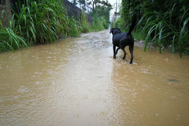 Alagamento em ruas do bairro Rio Vermelho, em Florianóplis. (FOTO: BETINA HUMERES/HORA DE SANTA CATARINA - FLORIANÓPOLIS, SANTA CATARINA, BRASIL - 10/01/2018) Alagamento em ruas do bairro Rio Vermelho, em Florianóplis. (FOTO: BETINA HUMERES/HORA DE SANTA CATARINA - FLORIANÓPOLIS, SANTA CATARINA, BRASIL - 10/01/2018)