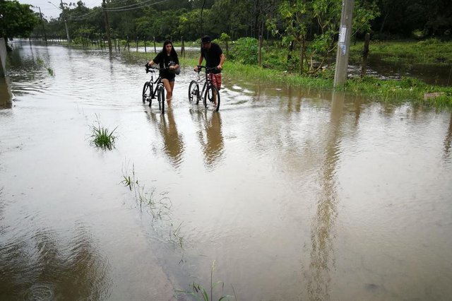 FLORIANÓPOLIS, SC, BRASIL, 11/01/2018: Daniel Pereira Chagas e Lucidelma Chagas Medeiros saíram de casa porque a água invadiu. Daniel voltou hoje para ver como estava. Vizinhos perderam tudo. Ontem tinha geladeira, até carne, boiando. Pra sair de casa a água tá na cintura., disse ele. Eles moram numa travessa no final da Rua dos Eucaliptos andavam pela Rua dos Eucaliptos, no Campeche, quando os encontrei. Estavam abandonando a casa para se abrigar.(fOTO: BETINA HUMERES / DIÁRIO CATARINENSE) FLORIANÓPOLIS, SC, BRASIL, 11/01/2018: Daniel Pereira Chagas e Lucidelma Chagas Medeiros saíram de casa porque a água invadiu. Daniel voltou hoje para ver como estava. Vizinhos perderam tudo. Ontem tinha geladeira, até carne, boiando. Pra sair de casa a água tá na cintura., disse ele. Eles moram numa travessa no final da Rua dos Eucaliptos andavam pela Rua dos Eucaliptos, no Campeche, quando os encontrei. Estavam abandonando a casa para se abrigar.(fOTO: BETINA HUMERES / DIÁRIO CATARINENSE)