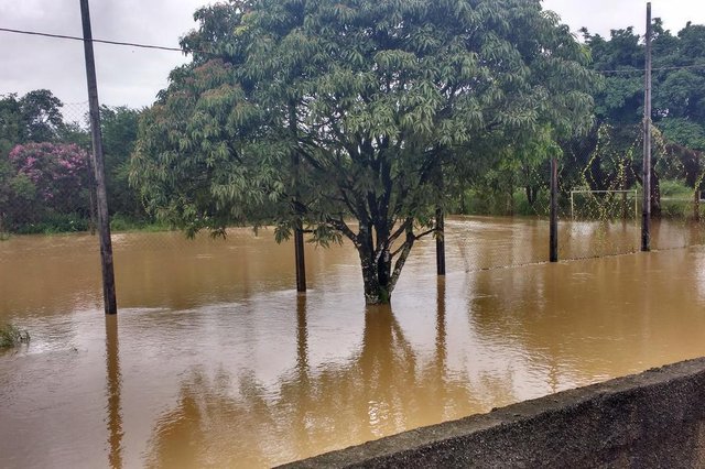 Chuva e pico de maré causam transtornos em Joinville. Na rua rua Levino Tanner, no Jardim Sofia, água chegou a um metro em alguns pontos. Chuva e pico de maré causam transtornos em Joinville. Na rua rua Levino Tanner, no Jardim Sofia, água chegou a um metro em alguns pontos.
