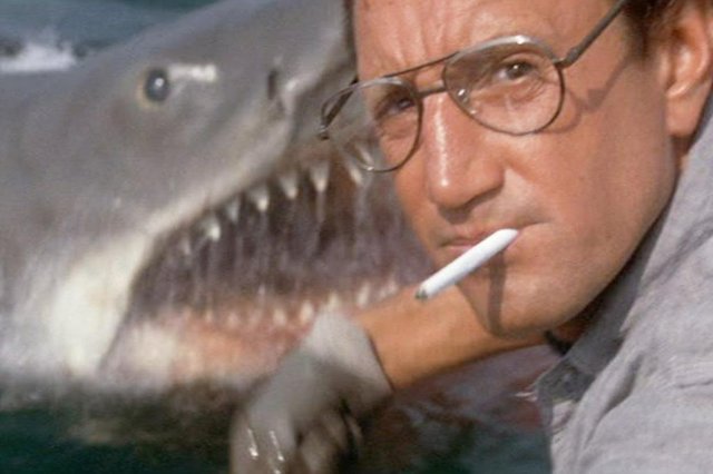 tubarão, filme de 1975 de Steven Spielberg, com Roy Scheider tubarão, filme de 1975 de Steven Spielberg, com Roy Scheider